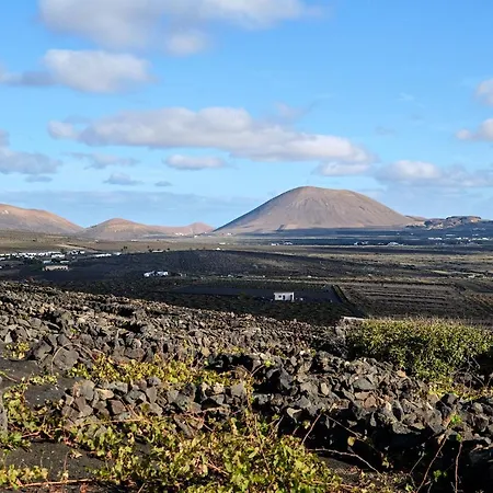 别墅 Ecofinca Aulaga Masdache