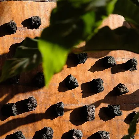 别墅 Ecofinca Aulaga