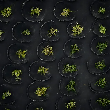 Ecofinca Aulaga 别墅 Masdache