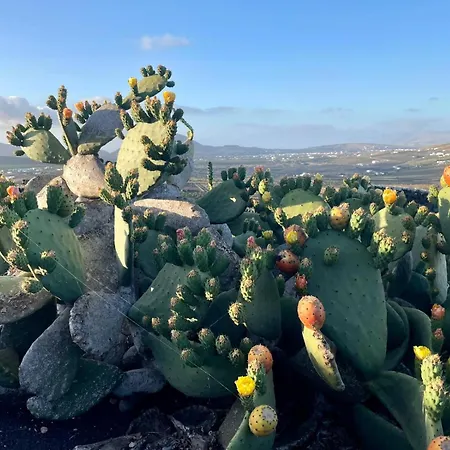 Ecofinca Aulaga 别墅 *